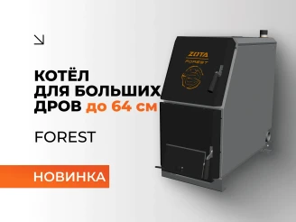 Новинка_ ZOTA Forest.webp Изображение